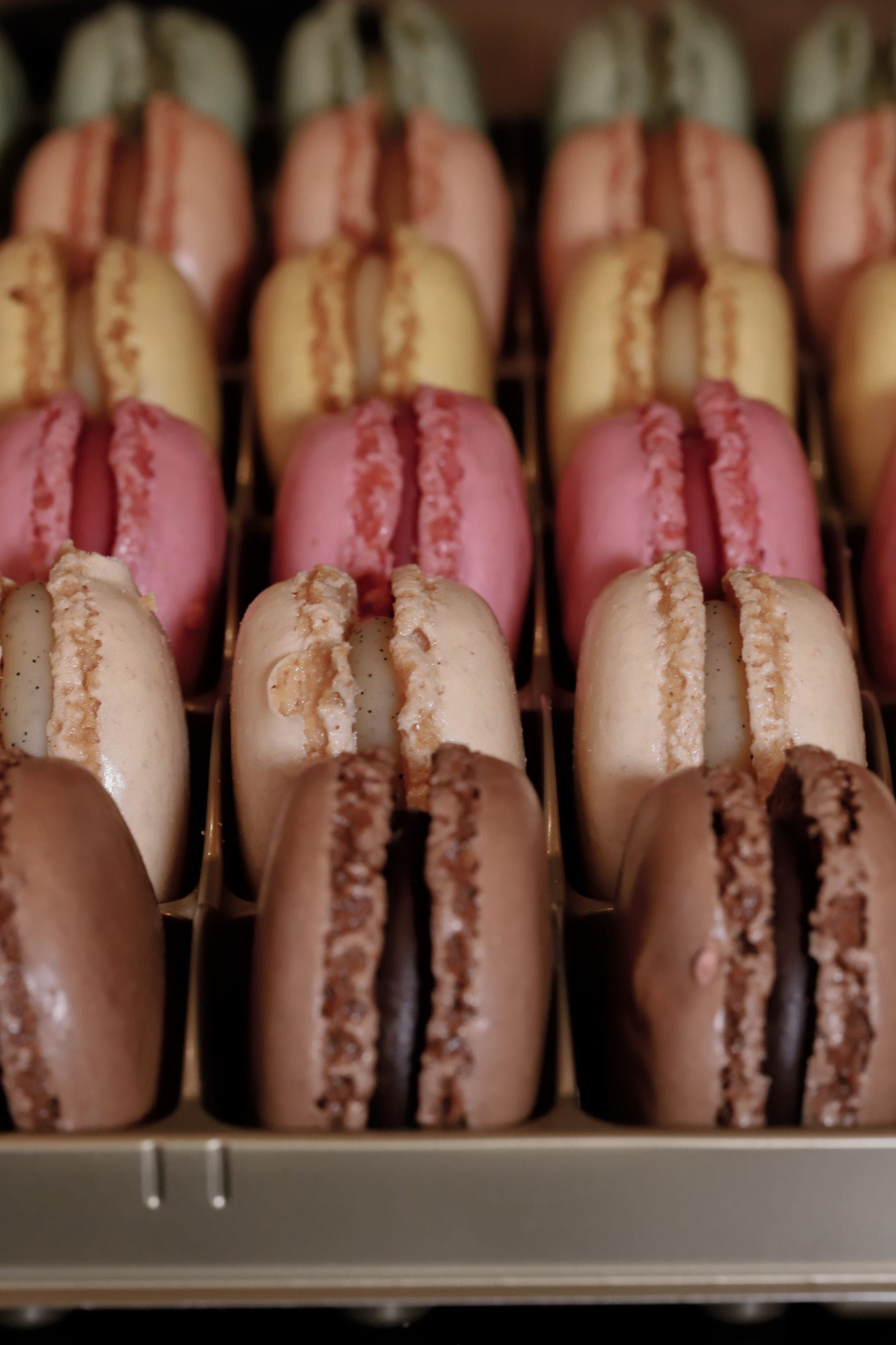 Macarons em fileiras