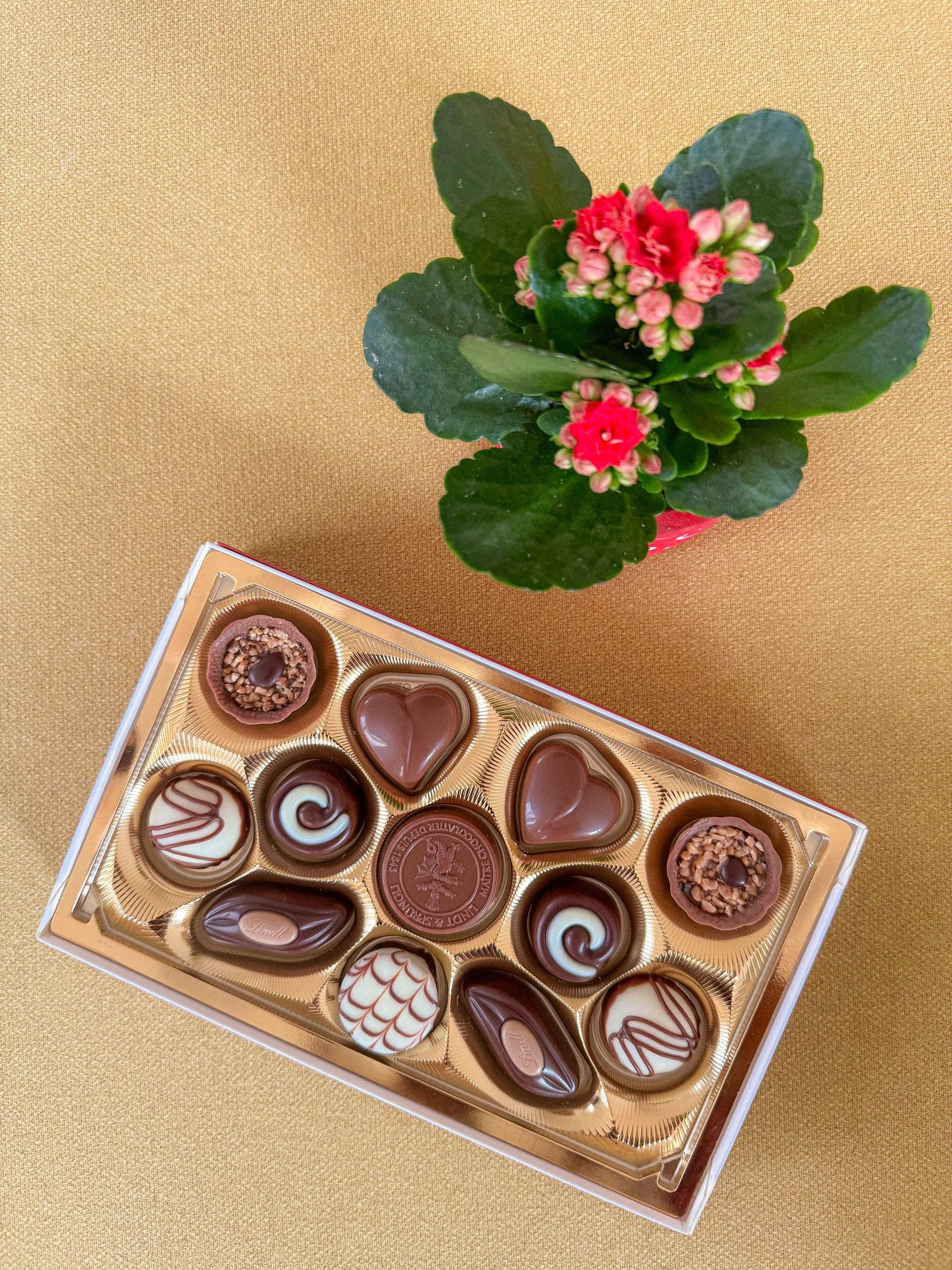 Caixa de bombons e trufas sortidas